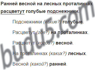 Ранней весной на лесных проталинках расцветут голубые. Ранней весной на лесных проталинках расцветут голубые. Ранней весной на лесных проталинках расцветут голубые. Голубые первоцветы пролески. Пролеска (сцилла) колокольчатая вайт.
