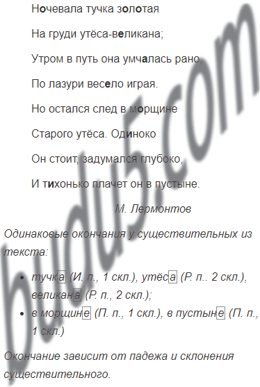 Пишем разные тексты об одном и том же 4 класс презентация