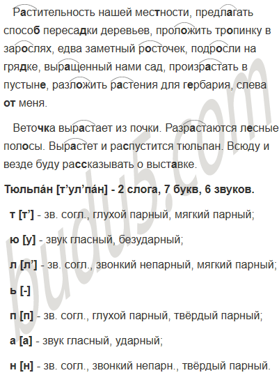 Упр. 493 - ГДЗ Русский язык 5 класс Ладыженская учебник часть 2