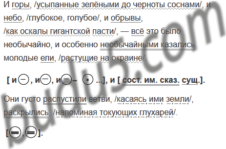 Взглянешь на бледно зеленое усыпанное звездами. Взглянешь на бледно зеленое усыпанное звездами. Взглянешь на бледно зеленое усыпанное звездами. Взглянешь на бледно зеленое усыпанное звездами. Русский язык 6 класс практика.