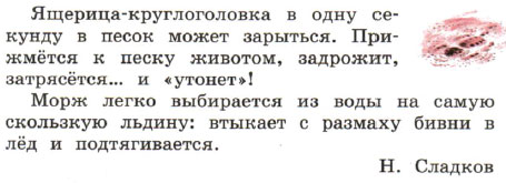 Кто-то съел описание, может даже кот.